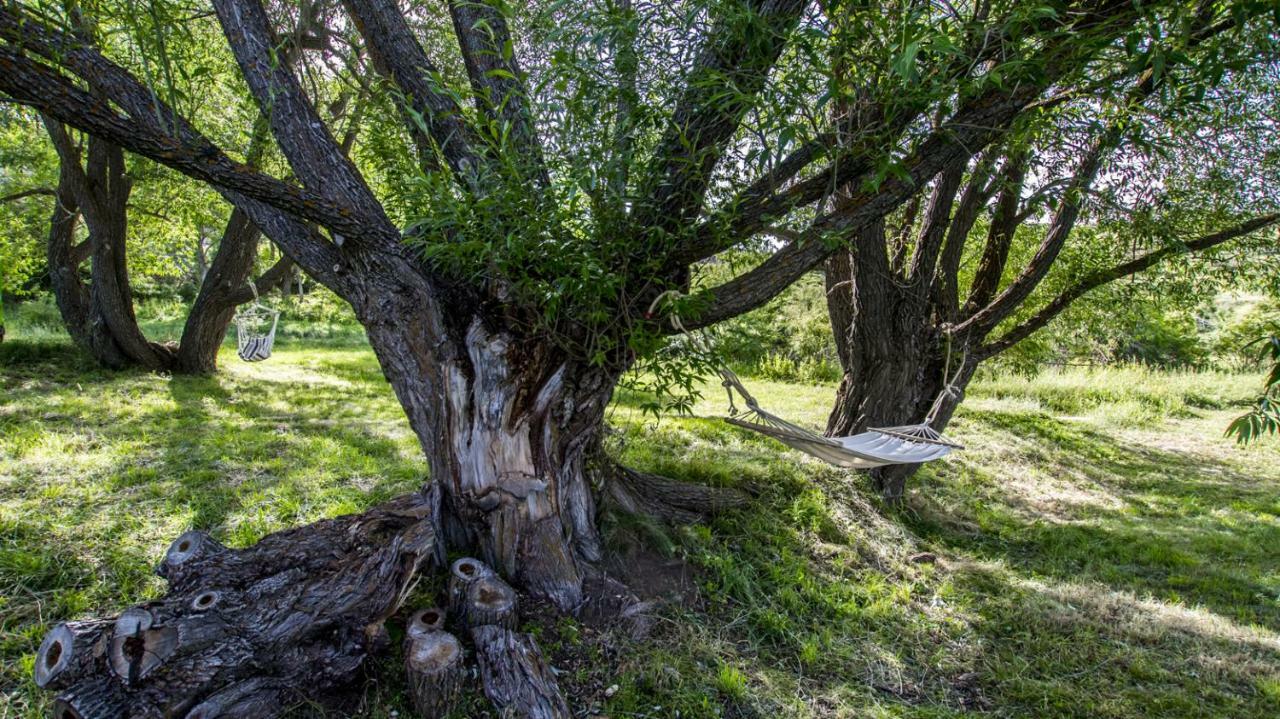 Masia El Cabrero Villarroya de los Pinares Esterno foto